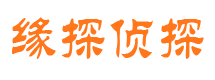 桐柏市场调查